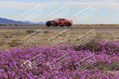 media/Jan-08-2023-SCCA SD (Sun) [[8f6a5b9391]]/Advanced Group/Session 2 (Short Straight)/